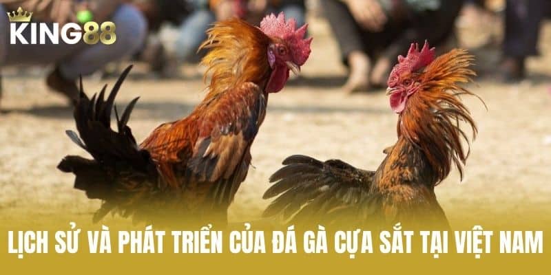 Lịch sử và phát triển của đá gà cựa sắt tại Việt Nam