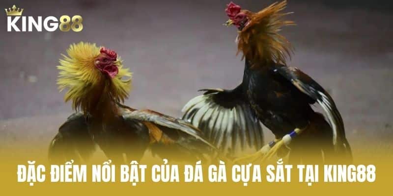 Đặc điểm nổi bật của đá gà cựa sắt tại KING88