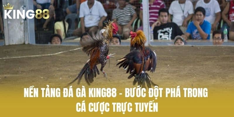 Nền Tảng Đá Gà KING88 – Bước Đột Phá Trong Cá Cược Trực Tuyến