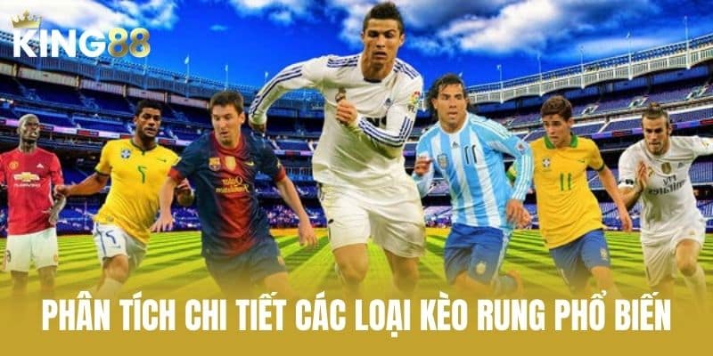 Phân Tích Chi Tiết Các Loại Kèo Rung Phổ Biến
