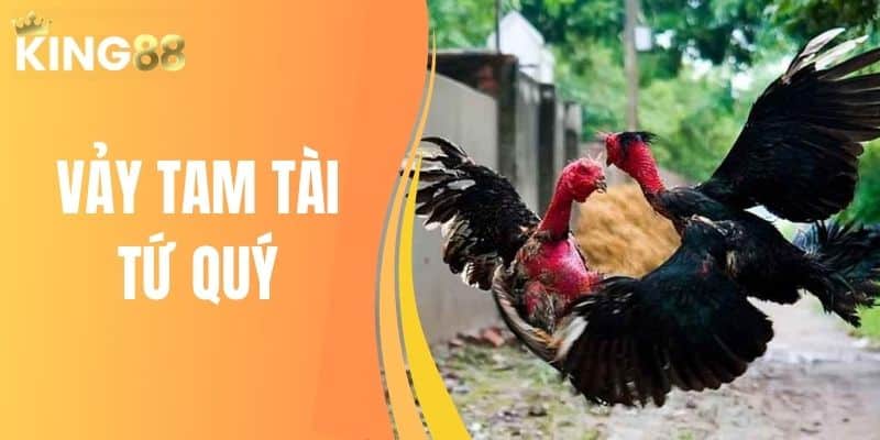vảy tam tài tứ quý