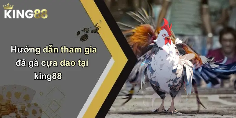 Hướng dẫn tham gia đá gà cựa dao tại king88