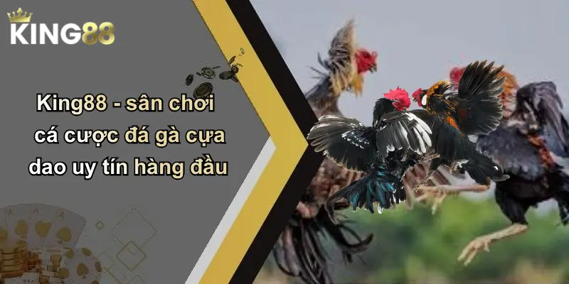 King88 - sân chơi cá cược đá gà cựa dao uy tín hàng đầu
