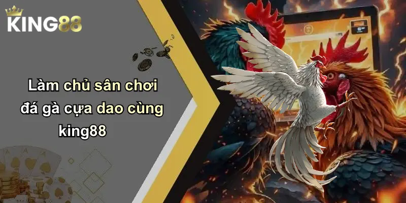 Làm chủ sân chơi đá gà cựa dao cùng king88